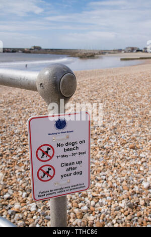 Sign on Lyme Regis beach restricting dogs on beach between 1st May to 30th September Stock Photo