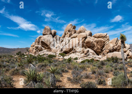 Hall of Horrors Rock Formation in Joshua Tree National Park, Southern California, USA Stock Photo