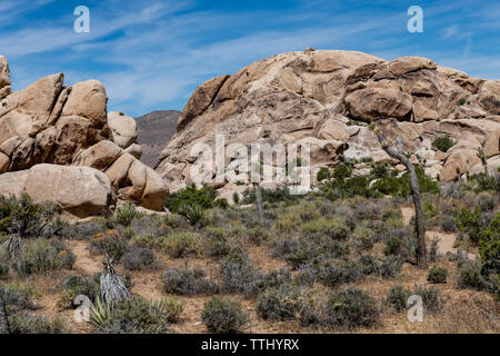 Hall of Horrors Rock Formation in Joshua Tree National Park, Southern California, USA Stock Photo