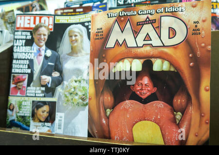 Magazine Stand Featuring Magazine Covers, NYC, USA Stock Photo
