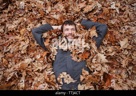 Overhead view of man lying in leaves at park Stock Photo