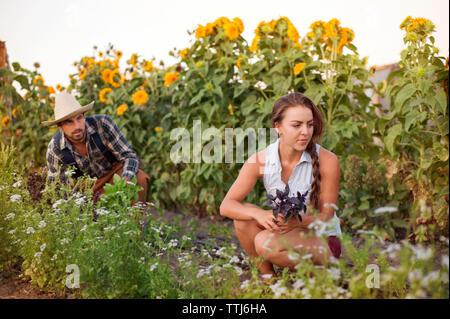 Farmers looking away while working in farm