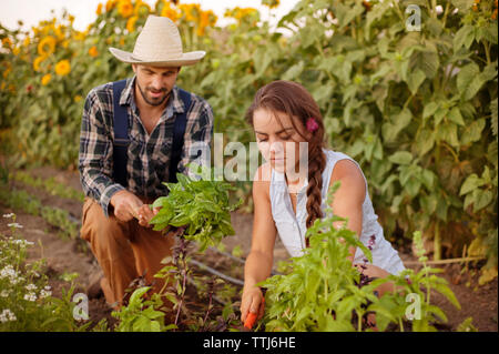 Couple planting in farm