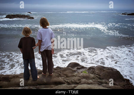Rear view of brothers standing on rocks at beach Stock Photo