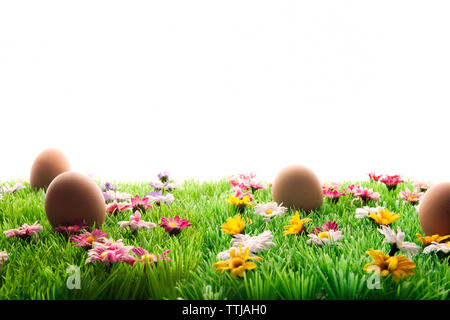easter eggs on grass against white background Stock Photo