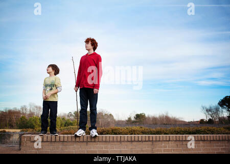 Brothers standing on retaining wall against sky Stock Photo