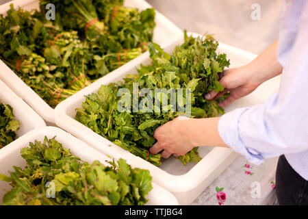 Cropped image of woman holding vegetable while standing at market stall Stock Photo