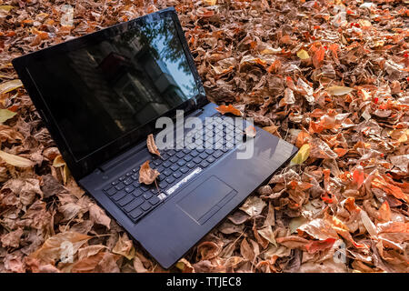 Old broken laptop thrown on the street in fall foliage like rubbish Stock Photo