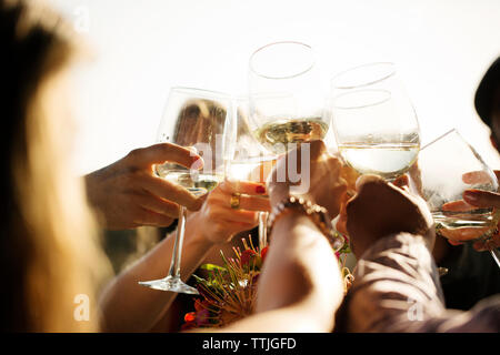 Cropped image of friends raising toast against clear sky Stock Photo