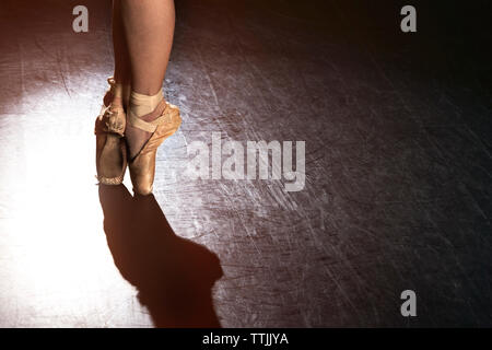 Low section of ballet dancer standing at studio Stock Photo