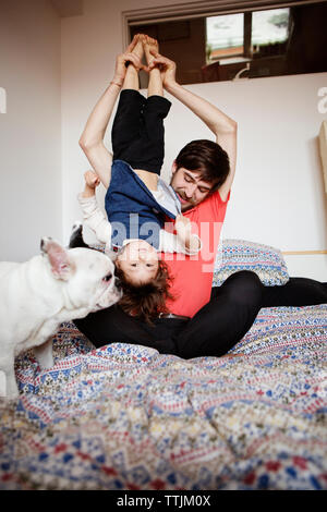 Father carrying daughter upside down while sitting by dog on bed Stock Photo