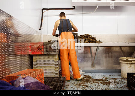 Rear view of man working in fishing industry