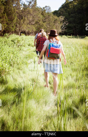 Rear view of friends walking on grassy field in forest Stock Photo