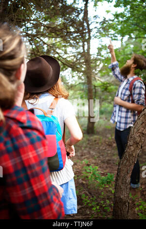 Man showing tree to friends while standing in forest Stock Photo