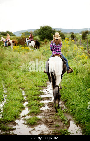 Rear of friends riding on horse Stock Photo