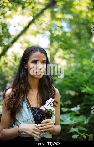 Thoughtful woman holding flowers while standing in forest Stock Photo