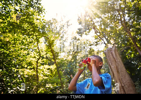 Boy looking through binoculars in forest Stock Photo