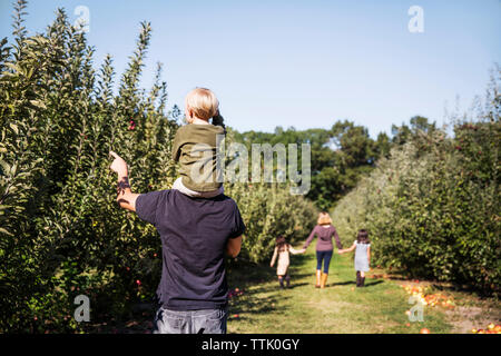 Rear view of father carrying son on shoulder while standing in apple orchard Stock Photo