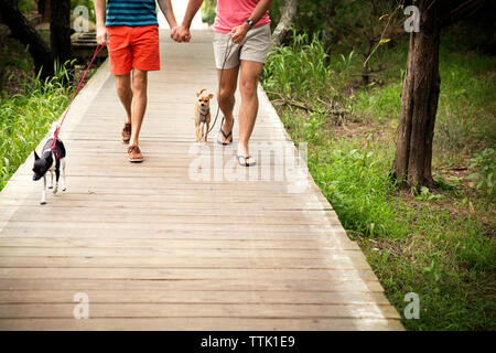 Low section of homosexual couple walking with Chihuahuas on boardwalk at park Stock Photo