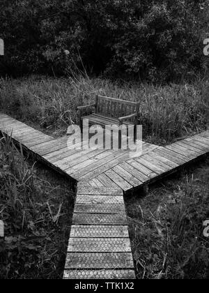 Black and White Landscape Photograph, of Path in Wetlands, Withymead Nature Reserve, Goring-on-Thames, Oxfordshire, England, UK, GB. Stock Photo