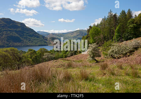 Looking across Ullswater towards Place Fell in summer Lake District National Park Cumbria England UK United Kingdom GB Great Britain
