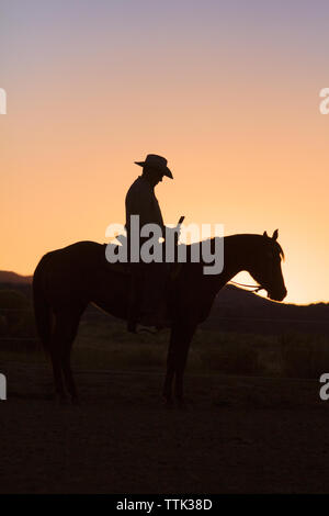 Silhouette man sitting on horse against clear sky in farm Stock Photo