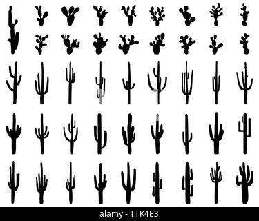 Black silhouettes of different cactus on a white background Stock Photo