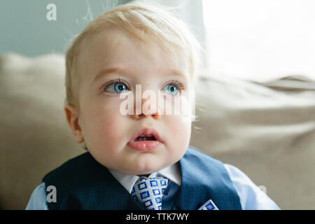 Close-up of thoughtful baby boy wearing suit while looking away on sofa at home during easter celebration Stock Photo