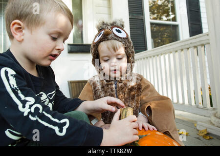Two male children are curious about jack o lantern during Halloween Stock Photo