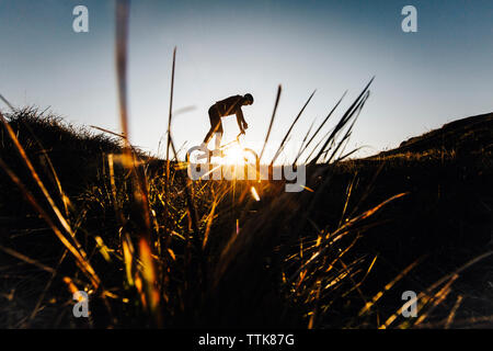 Young man is riding on bike during a sunrise. Slovakia Stock Photo