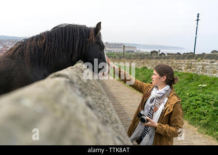 Female tourist stroking horse peeking over retaining wall against clear sky Stock Photo