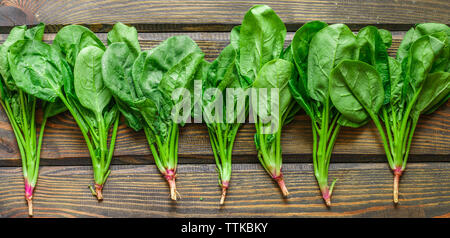 Fresh harvested organic spinach on a dark wooden table. Green vegetables with water drops. Selective focus, long picture, banner Stock Photo