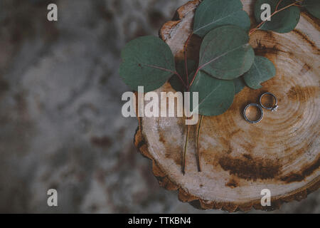 Overhead view of wedding rings with leaves on tree stump Stock Photo
