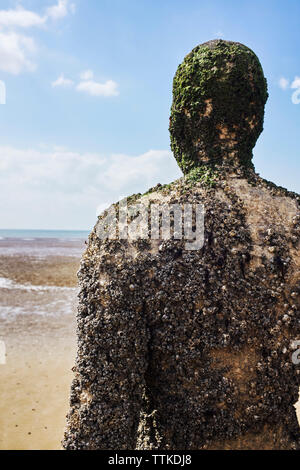 A barnacle encrusted Anthony Gormley Another Place statue at Crosby beach looking out to sea Stock Photo