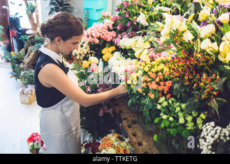 Side view of female owner arranging roses at shop Stock Photo