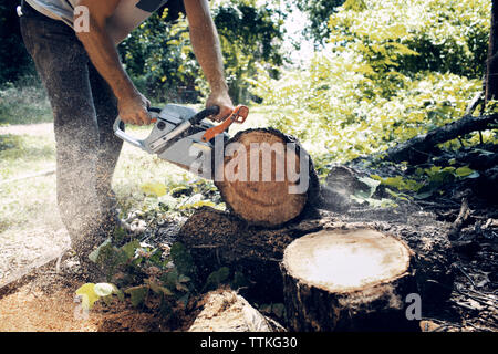 Low section of man cutting log with chainsaw Stock Photo