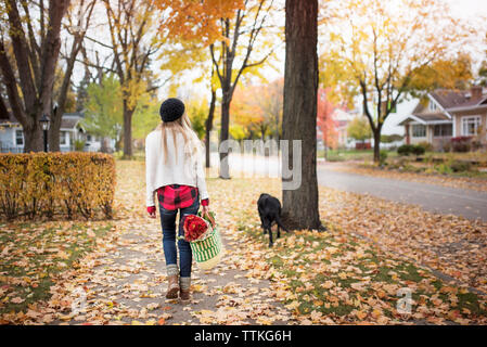 Rear view of woman holding shopping bag and walking with dog on footpath Stock Photo
