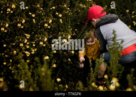 Boy helping his little sister up in a flower bush