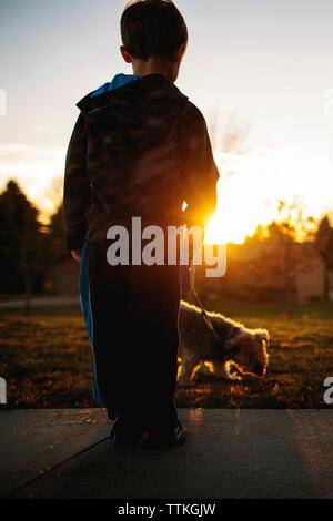 Rear view of boy with Yorkshire Terrier in park during sunset Stock Photo