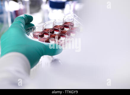 Cropped hand of scientist wearing protective glove holding multiwell tray containing stem cells during research in laboratory
