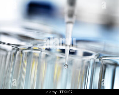 Close-up of pipette dripping liquid into test tube Stock Photo