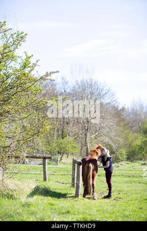 Side view of woman brushing horse while standing on grassy field during sunny day Stock Photo