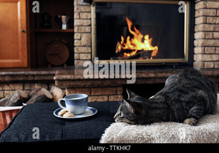 Tabby cat relaxing by food and drink on ottoman against fireplace at home Stock Photo