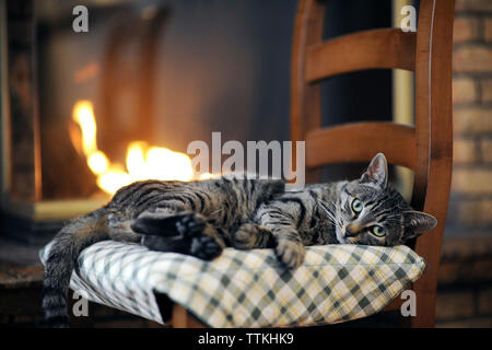 Portrait of tabby cat lying on chair against fireplace at home Stock Photo