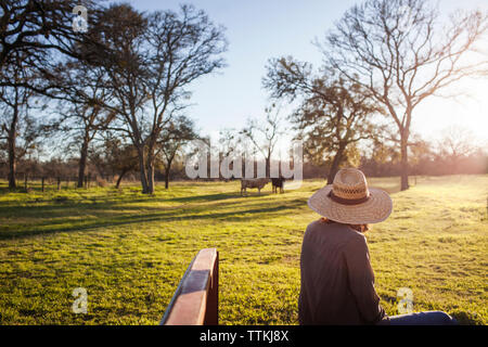 Female farmer sitting on back of pick-up truck Stock Photo