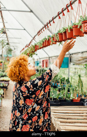 Side view of woman reaching for potted plants hanging on rod in nursery Stock Photo