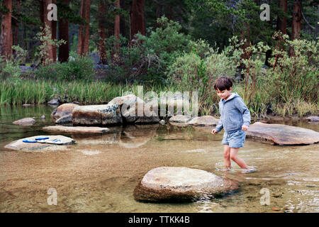 Boy wading through stream against trees Stock Photo