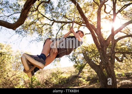 Low angle view of boy hanging from rope swing in forest Stock Photo