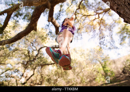 Low angle view of girl playing on rope swing in forest Stock Photo