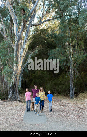 Family of five walking their dog on a path below large Eucalyptus Stock Photo